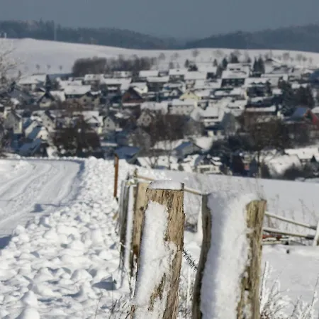 Cosy Holiday In Usseln With Terrace *