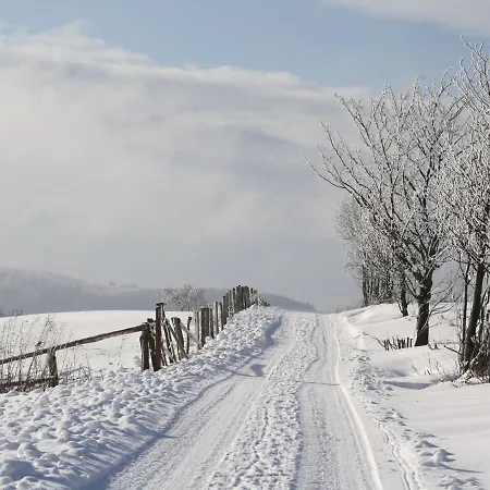 Cosy Holiday In Usseln With Terrace Prázdninový dům Willingen (Upland)